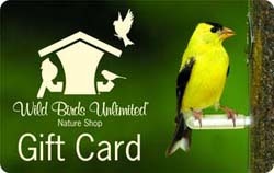 Gift Card Front