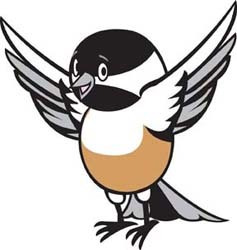 DeeDee the chickadee