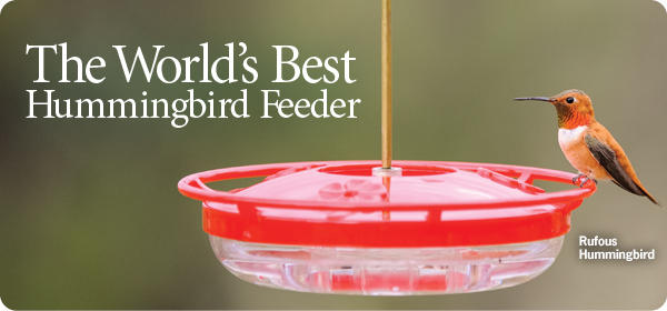 WBU Hummingbird Feeders