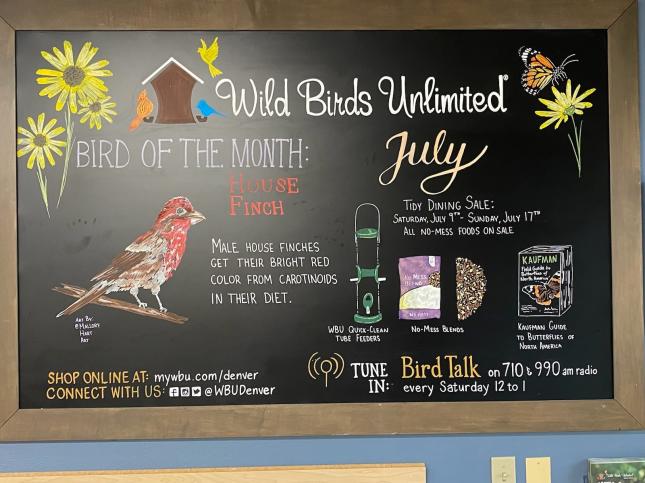 Home  Wild Birds Unlimited